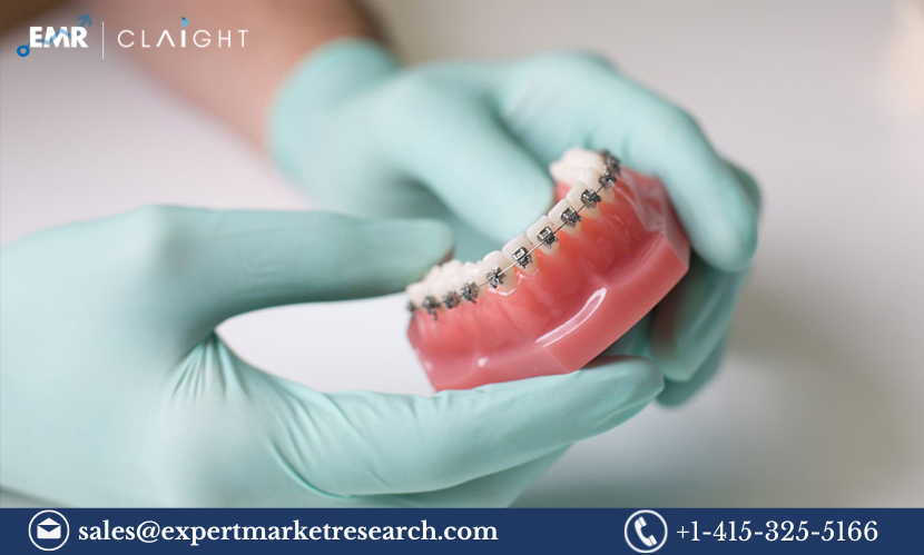 Read more about the article Global Orthodontic Products Market Size, Share, Report and Forecast 2024-2032