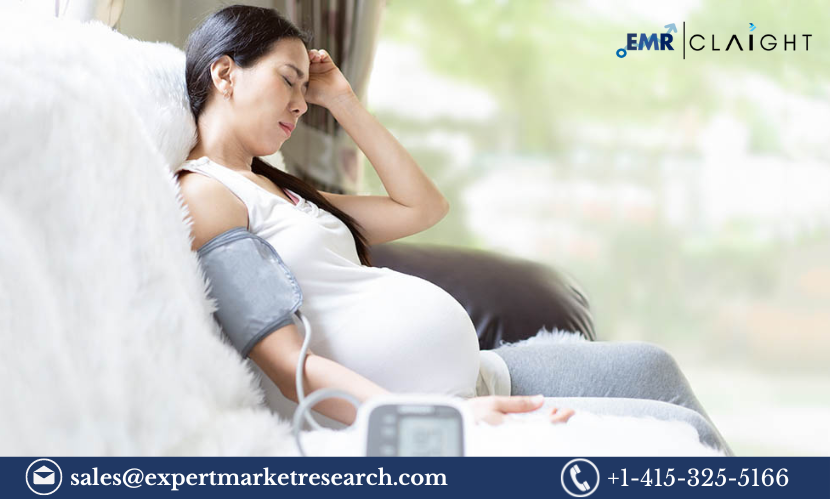 Read more about the article Preeclampsia Market Size, Share, Trends, Report and Forecast 2024-2032