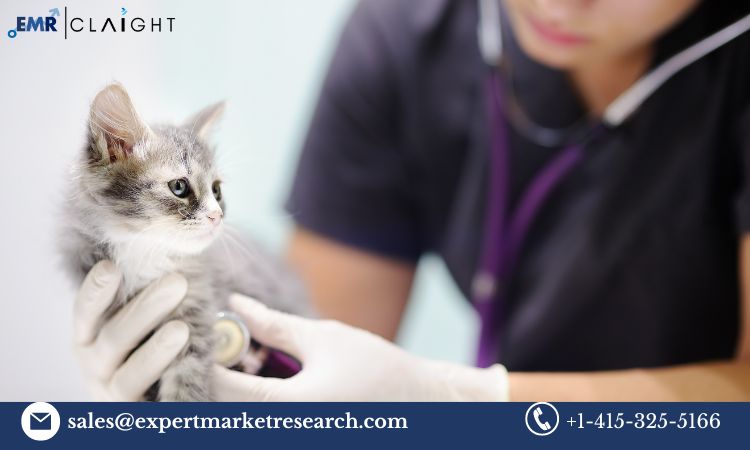 Read more about the article Global Veterinary Healthcare Market Trends, Growth, Report, Share, Size, Key Players, Forecast 2024-2032