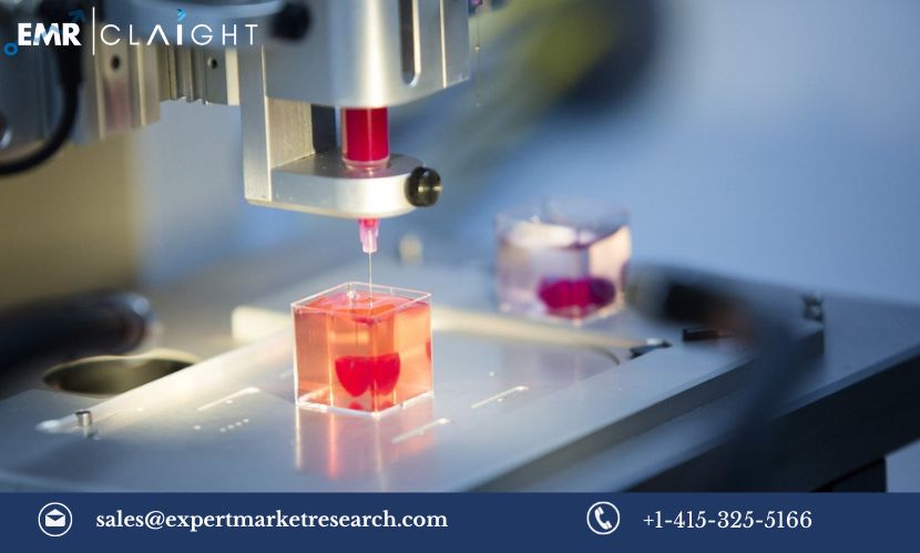 Read more about the article Global 3D Bioprinted Human Tissue Market Size, Share, Trends, Growth, Analysis, Report and Forecast 2024-2032