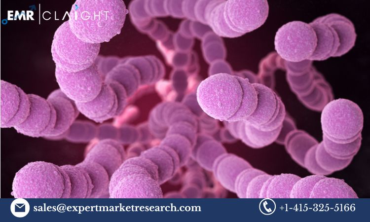 Read more about the article Global Antimicrobial Therapeutics Market Trends, Growth, Key Players, Share, Size, Report, Forecast 2024-2032