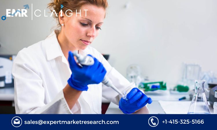 Read more about the article Australia and New Zealand Endotoxin Testing Market Size, Share, Trends, Outlook, Growth, Analysis, Report and Forecast 2024-2032