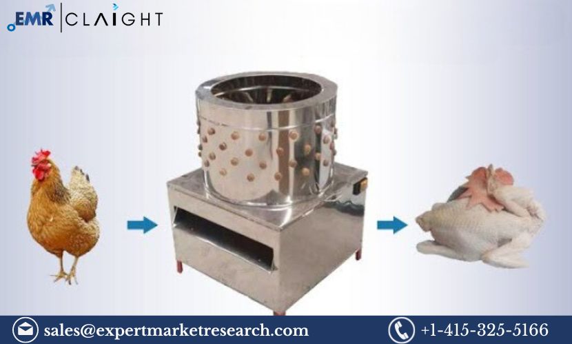 Read more about the article Chicken Plucking Machine Market Price, Size, Share, Trends, Report and Forecast 2024-2032