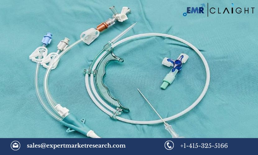 Read more about the article Global Centesis Catheters Market Size, Share, Trends, Growth, Report and Forecast 2024-2032