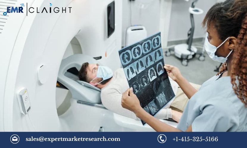 Read more about the article Global Lung Cancer Screening Market Size, Share, Trends, Outlook, Growth, Analysis, Report and Forecast 2024-2032