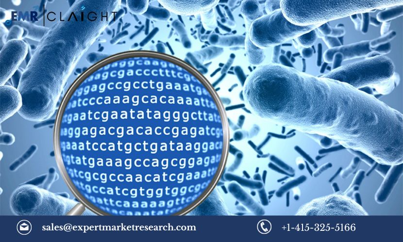 Read more about the article Global Metagenomics Market Size, Share, Trends, Outlook, Growth, Analysis, Report and Forecast 2024-2032