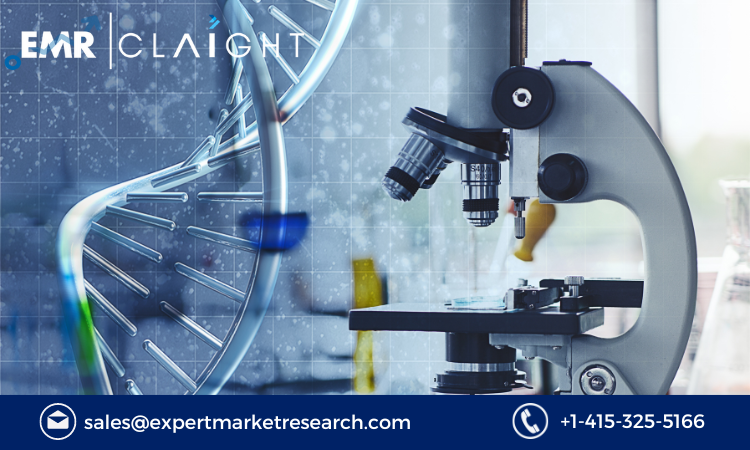 Read more about the article Microscope Market Size, Share, Growth Report and Forecast 2024-2032