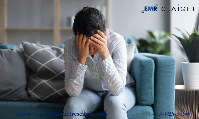 Read more about the article Panic Disorder Market Size, Share, Report and Forecast 2024-2032