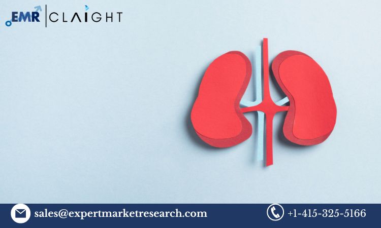 Read more about the article Global Polycystic Kidney Disease Drugs Market Share, Key Players, Report, Trends, Growth, Size, Forecast 2024-2032