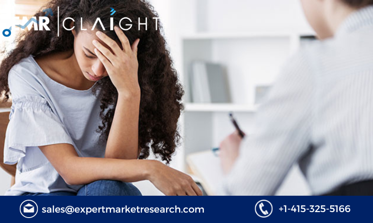 Read more about the article Post Traumatic Stress Disorder (PTSD) Market Report and Forecast 2024-2032