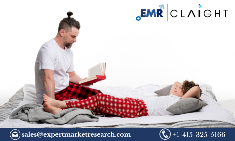 Read more about the article Sleepwear Market Size, Share, Growth Report and Forecast 2024-2032