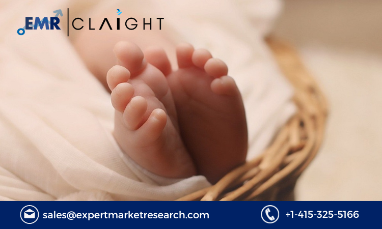 Read more about the article Tay Sachs Disease Market Size, Report and Forecast 2024-2032