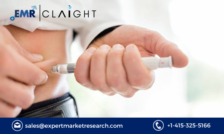 Read more about the article Type 1 Diabetes Market Size, Share, Report and Forecast 2024-2032