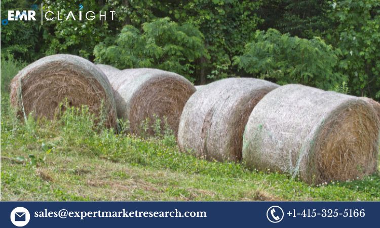 Read more about the article Global Bale Net Market Size, Share, Trends, Growth, Analysis, Report, Forecast 2024-2032