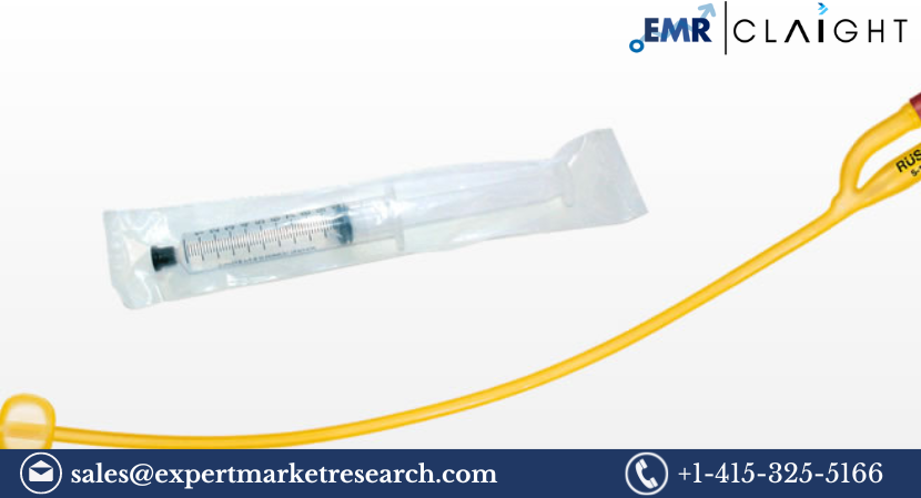 Read more about the article North America Balloon Catheters Market Size, Share, Trends, Growth, Report and Forecast 2024-2032