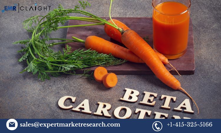 Read more about the article Global Beta Carotene Market Report, Trends, Growth, Key Players, Share, Size, Forecast 2024-2032