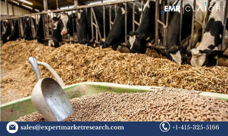 Read more about the article Global Cattle Feed Market Trends, Growth, Key Players, Share, Size, Report, Forecast 2024-2032