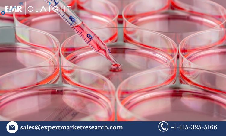 Read more about the article Global Cell Culture Market Trends, Growth, Key Players, Share, Size, Report, Forecast 2024-2032