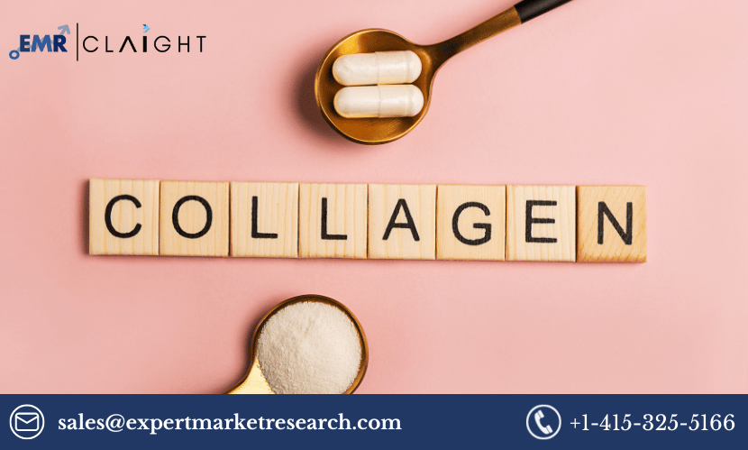 Read more about the article Global Collagen Market Share, Size, Trends, Growth, Analysis,  Forecast 2024-2032