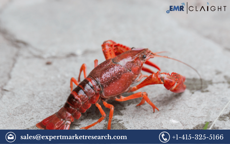 Read more about the article Global Crayfish Market Share, Size, Growth, Analysis, Key Players, Report, Forecast 2024-2032