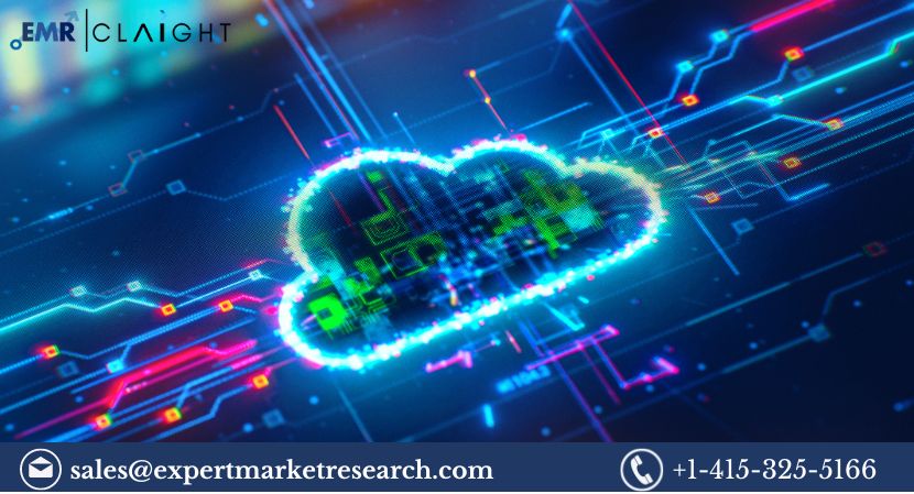 Read more about the article Global Data Diode Solution Market Size, Trends, Forecast and Report 2024-2032