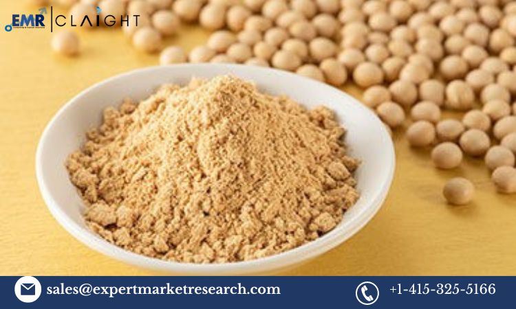 Read more about the article Global De-Oiled Lecithin Market Report, Trends, Growth, Key Players, Share, Size, Forecast 2024-2032