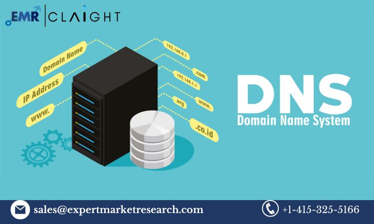 Read more about the article Global Domain Name System Service Market Share, Size, Trends,, Report, Growth, Key Players, Forecast 2024-2032