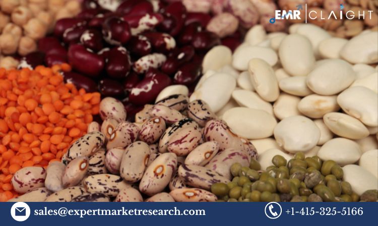 Read more about the article Global Dried Beans Market Size, Share, Trends, Growth, Analysis, Report, Forecast 2024-2032