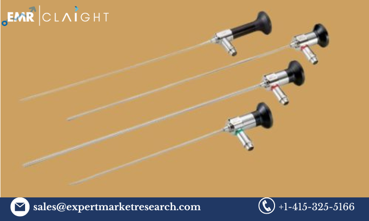 Read more about the article Global ENT Scopes Market Size, Share, Trends, Growth 2024-2032