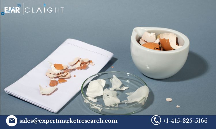 Read more about the article Global Eggshell Membrane Market Trends, Growth, Key Players, Share, Size, Report, Forecast 2024-2032