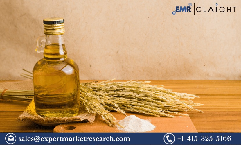 Read more about the article Europe Rice Bran Oil Market Size, Share, Price, Growth, Analysis, Report and Forecast 2024-2032