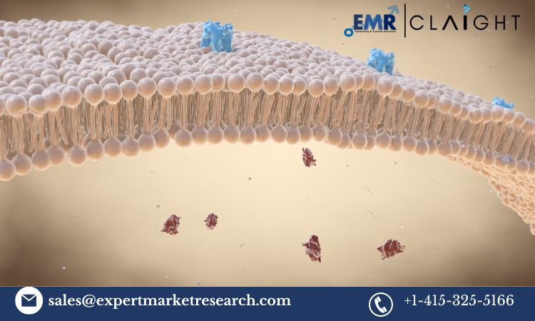 Read more about the article Global G-Protein Coupled Receptors Market Trends, Growth, Key Players, Share, Size, Report, Forecast 2024-2032