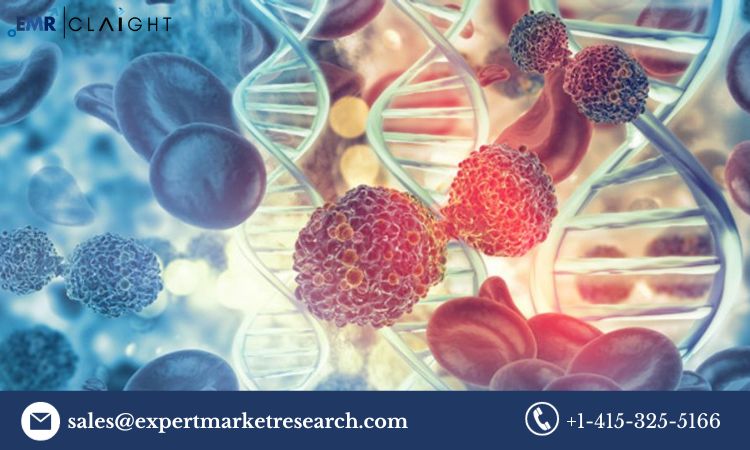 Read more about the article North America Gene Expression Market Size, Share, Trends, Analysis, Growth Report and Forecast 2024-2032