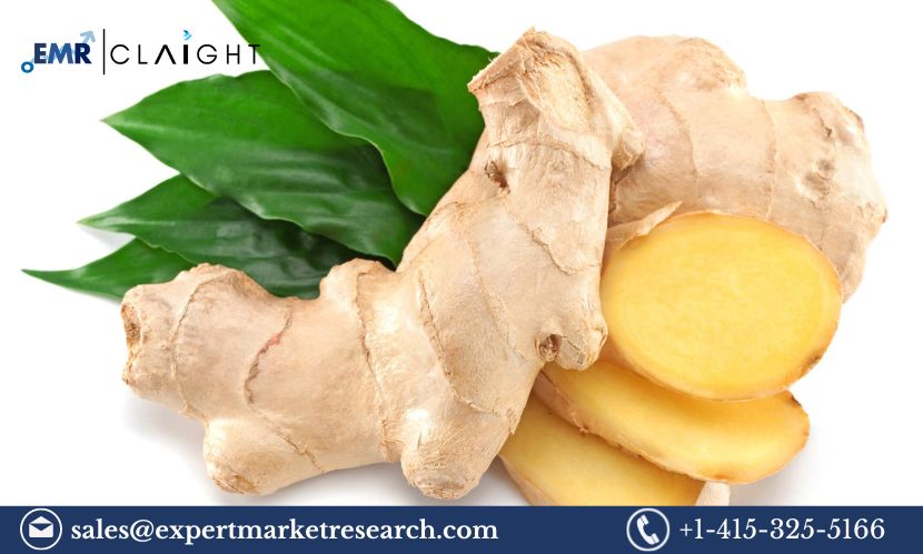 Read more about the article Ginger Market Size, Share, Trends and Industry Report 2024-2032