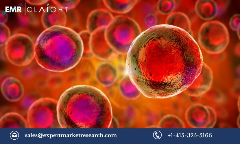 Read more about the article Global Cell Expansion Market Size, Share, Growth, Trends & Analysis, Report and Forecast 2024-2032