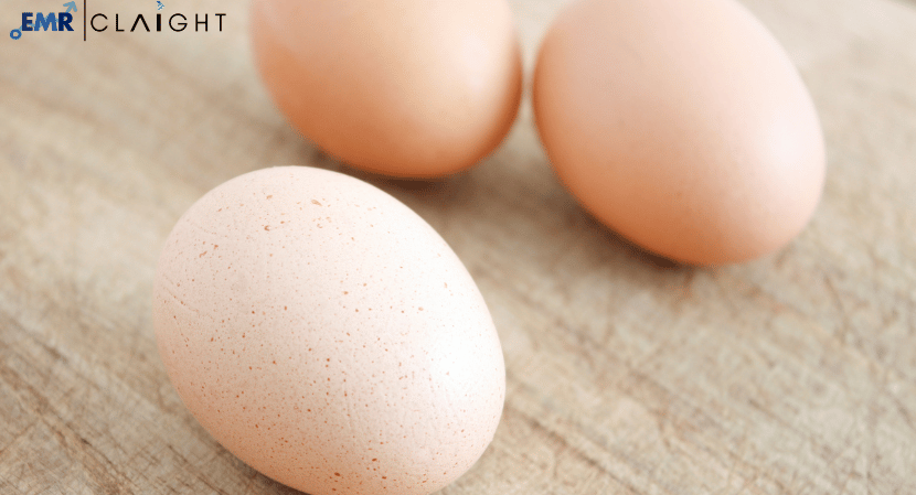 Read more about the article Global Specialty Egg Market Size, Share, Growth Report and Forecast 2024-2032