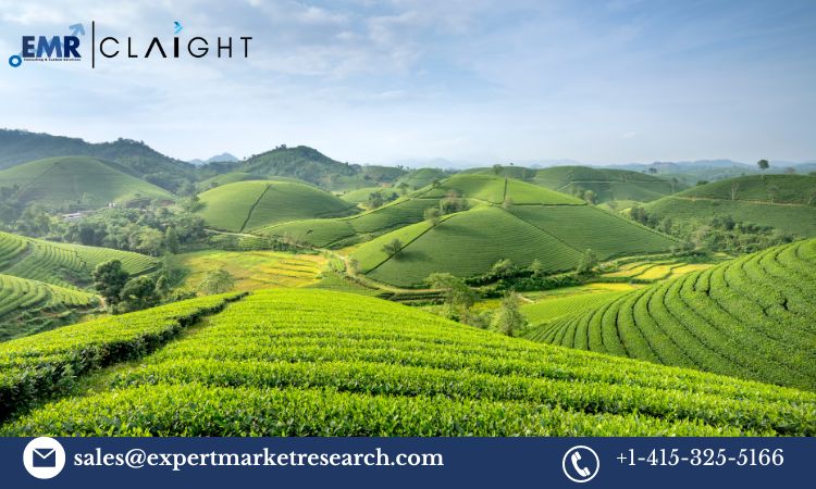 Read more about the article India Agricultural Biologicals Market Report, Trends, Growth, Key Players, Share, Size, Forecast 2024-2032