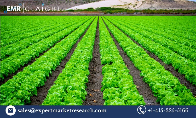 Read more about the article India Agricultural Biologicals Market Report, Trends, Growth, Key Players, Share, Size, Forecast 2024-2032