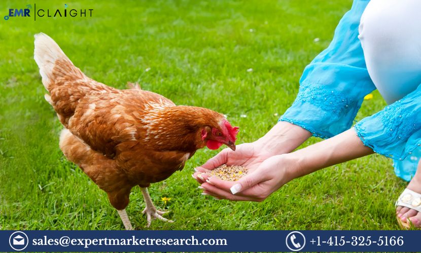 Read more about the article India Poultry Feed Market Size, Share, Growth, Report and Forecast 2024-2032