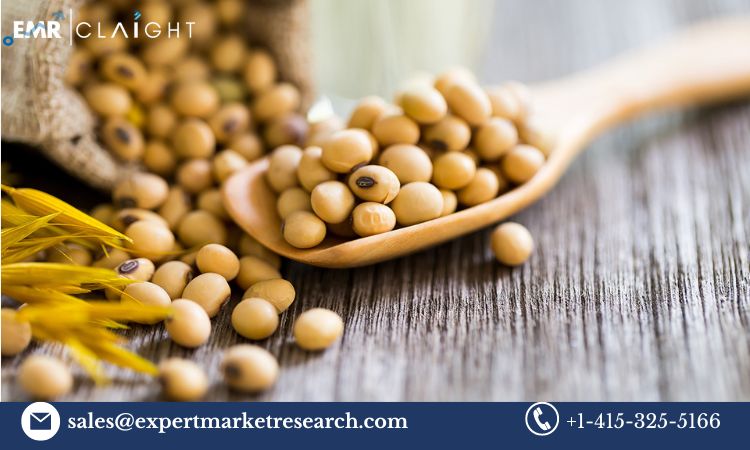 Read more about the article Global Lecithin Market Trends, Growth, Key Players, Share, Size, Report, Forecast 2024-2032