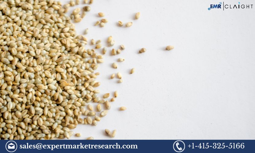 Read more about the article Millet Seeds Market Share, Size, Trends and Forecast 2024-2032