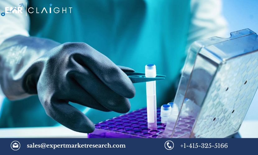 Read more about the article North America Biobanking Market Size, Share, Growth, Trends & Analysis, Report and Forecast 2024-2032