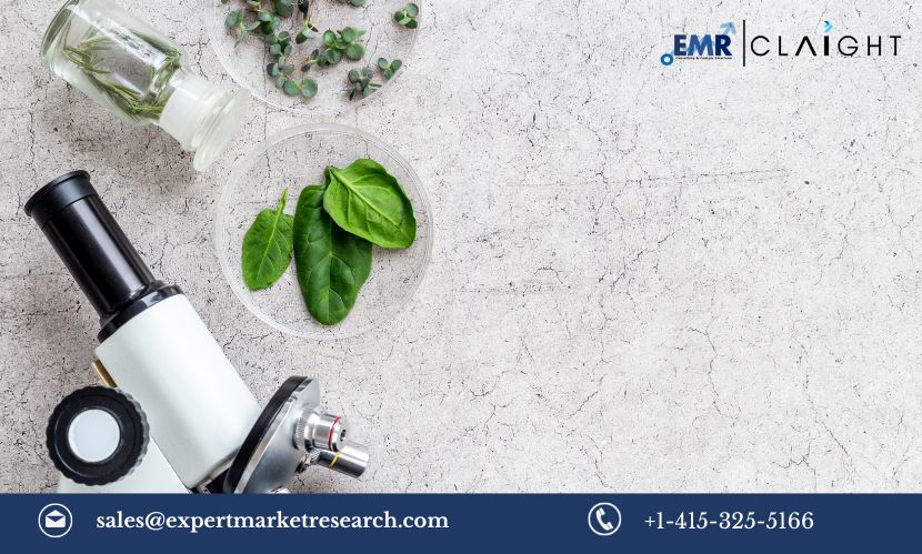 Read more about the article North America GMO Testing Market Size, Share, Growth, Trends & Analysis, Report and Forecast 2024-2032