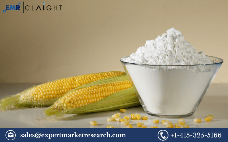 Read more about the article North America Industrial Starch Market Size, Share, Price, Trends, Growth, Analysis, Report and Forecast 2024-2032