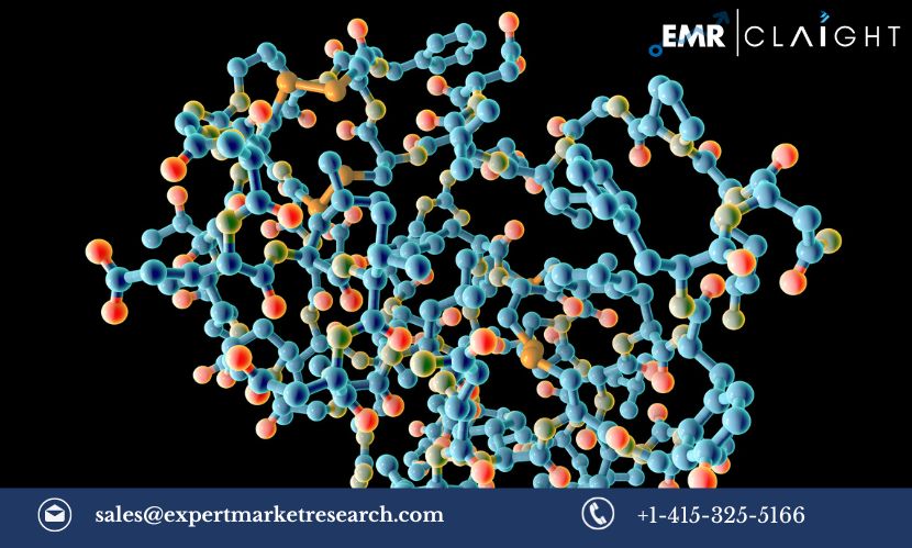 Read more about the article North America Proteomics Market Size, Share, Growth, Trends & Analysis, Report and Forecast 2024-2032