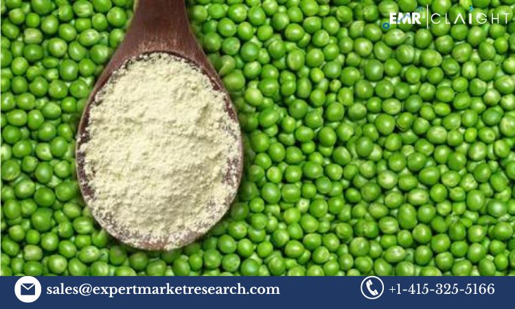 Read more about the article Global Pea Starch Market Size, Share, Price, Trends, Growth, Analysis, Report, Forecast 2024-2032