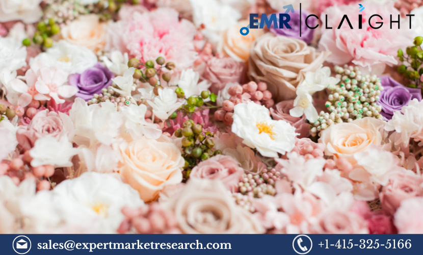 Read more about the article Preserved Flowers Market Size, Share and Growth Report 2024-2032