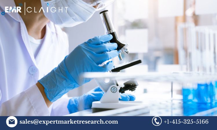 Read more about the article Global Short Tandem Repeats (STR) Testing Market Trends, Growth, Key Players, Share, Size, Report, Forecast 2024-2032