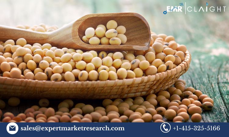 Read more about the article Global Soy Protein Ingredient Market Trends, Growth, Key Players, Share, Size, Report, Forecast 2024-2032