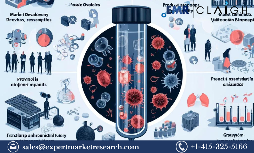 Read more about the article Global Allogeneic T Cell Therapies Market Report and Forecast 2024-2032